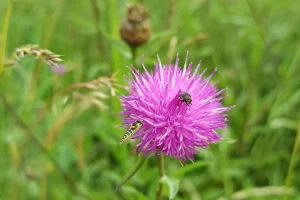 IMG_20260605_102747